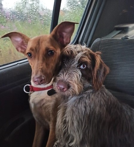 Орские добровольцы присоединились к проекту «Волонтер – это звучит гордо!»